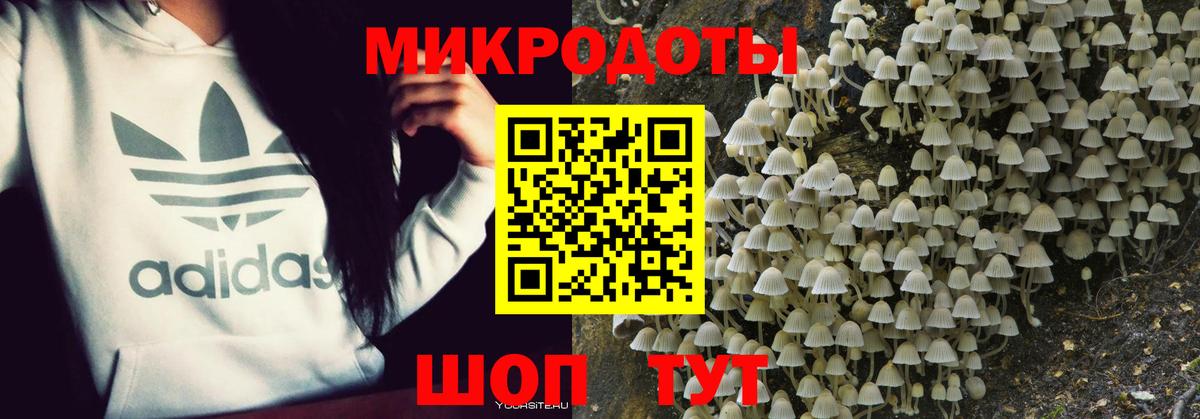 Галлюциногенные грибы мицелий Жуковский