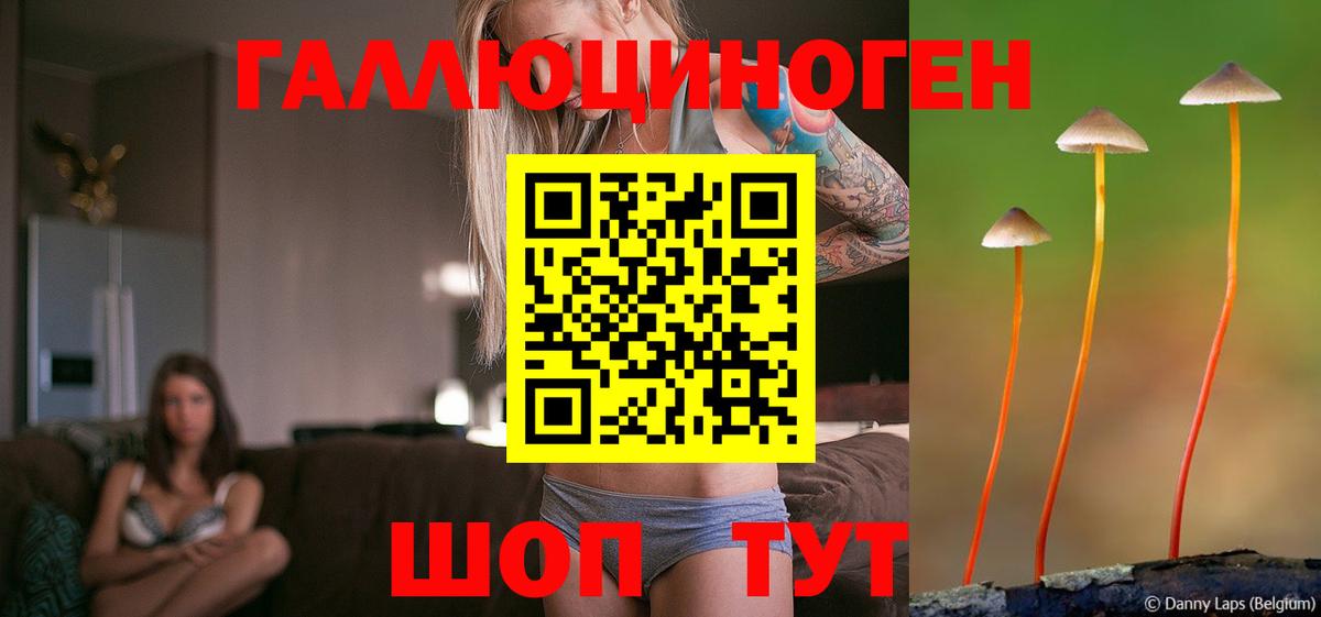 Псилоцибиновые грибы Psilocybe  Вход с VPN  Жуковский 